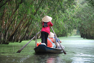 Tra Su forest in An Giang