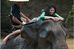 Elephant ride in Luang Prabang, Laos