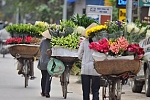 Mobile flowers shop in Hanoi, Vietnam