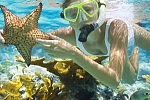 Scuba & Diving in Phu Quoc Island, Vietnam
