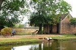 Biking to Duong Lam Village from Hanoi