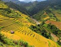 Sapa Tour