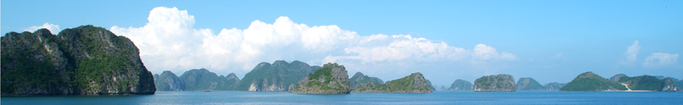 Jasmine Cruise